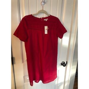 Shayla Eyelet Shift Dress